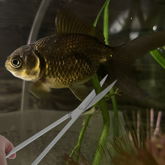 WHAMVOX 1Set Ergonomic Design Aquarium Tools For Fish Tank Accessories