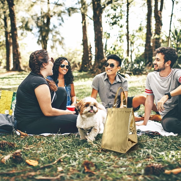 WHAMVOX 1pc Aluminum Foil Camping Thermal Bag Non-woven Insulation Bag