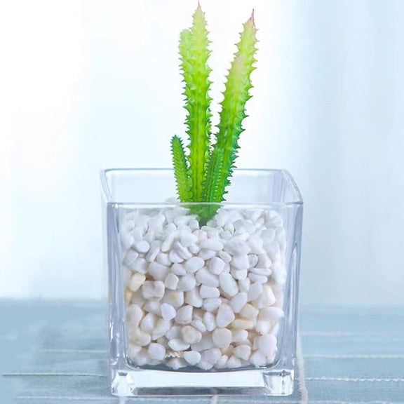 HOOWIFFY Hydroponic Vase Transparent Glass 2Pcs for Home and Office Decor