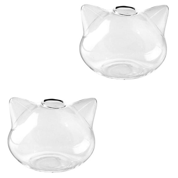 WHAMVOX 2 Pcs Glass Vase Hydroponics Planter Growing Floral