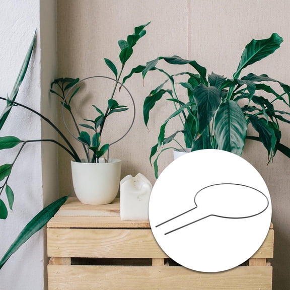 WHAMVOX  2 Pcs Indoor Plants Gardening Frame Climbing Stand