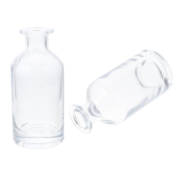 ROMANSENTIAL Creative Glass Vases Transparent Home Decors for Artistic Arrangements 2Pcs