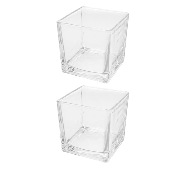 WHAMVOX 2pcs Square Cube Transparent Glass Vase Hydroponic Flower Vase Table Decoration Clear Glass Planter Hydroponic Plant Container for Home Decor