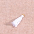 thumbnail image 1 of WHAMVOX 30 Pieces Mini Ribbon Tassel Charms for Jewelry Making, Craft Supplies, Accessories and Decorations, 1 of 8