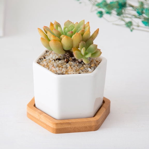 WHAMVOX 4 Sets White Hexagon Planter Containers Ceramic Succulent Plant Pots Flower Pots