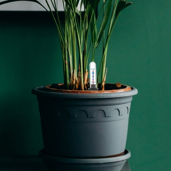 WHAMVOX 4pcs Water Gauge For Plants Water Gauge Potted Plants Water Indicators Water Level Meter Water Testing Tool For Plants Water Gauge