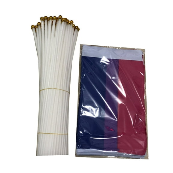 WHAMVOX 50 Pcs Gay Pride Decorations Hand Waving Flag for Indoor Use 14x21in