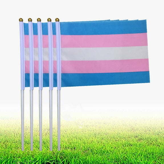 WHAMVOX 50 Pcs Hand Waving Flag Transgender Peace Flag Gay Hand Waving Flag Banner Mini Stick Flag Club School Festival Business Party Decoration