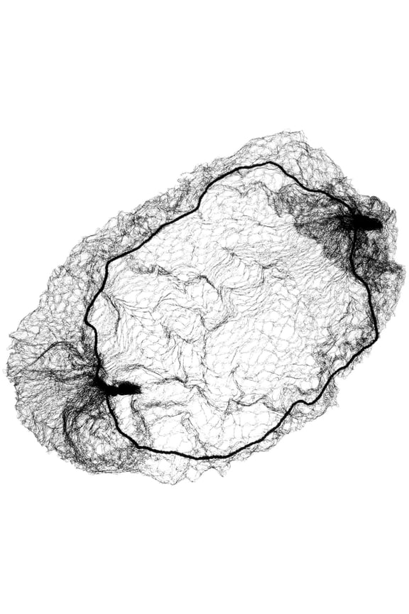 50Pcs Hair Bun Covers for Hair with Invisible and Versatile Styles 19.7x19.7x0.04in