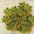 thumbnail image 1 of WHAMVOX 50Pcs Simulation Props Artificial Maple Leaves for Crafts Garden Party, 1 of 8