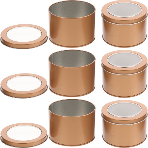 WHAMVOX 6 Pcs Indoor Metal Pot Flower Planter for Desktop