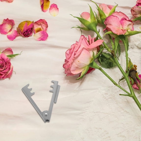 WHAMVOX 6Pcs Stripper Tool Silver Iron for Flower Enthusiasts
