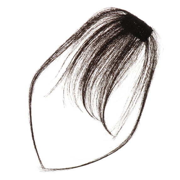 WHAMVOX Air Bangs Wig Fringe Extensions Miss Woman Tassel Clip Hair Strands 20x7cm