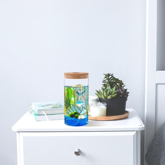 LITINKIMI Transparent Glass Terrarium 1Pcs 8.3X3.9X3.9In