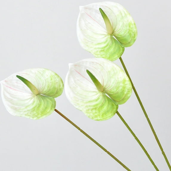 SEWCHICS Realistic Flowers Table Flowers Artificial Anthurium Flowers White Plastic 6Pcs
