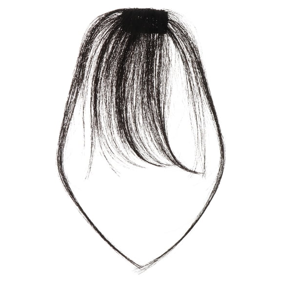 WHAMVOX Bang Hair Clip Hair Bang Hairpiece Clip in Air Bang Hair Extensions Bang Clip