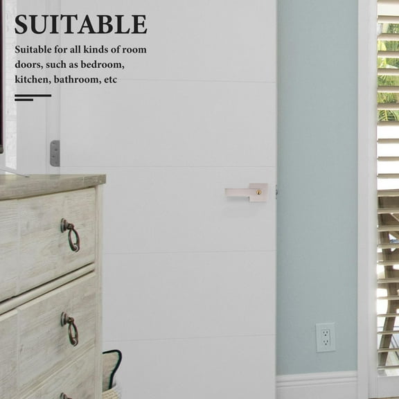 WHAMVOX  Black Exterior Door Handle Entry Knob with Lock Lever Silver