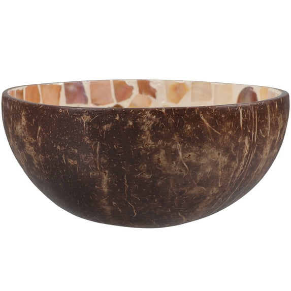 SEWCHICS Coconut Serving Bowl Coconut Shell Fruit Bowl Owners 1 Pair