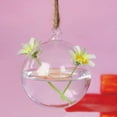 thumbnail image 1 of WHAMVOX Create Refreshing Transparent Hanging Glass Planter Terrarium Vase with Two Holes Home Decor, 1 of 4
