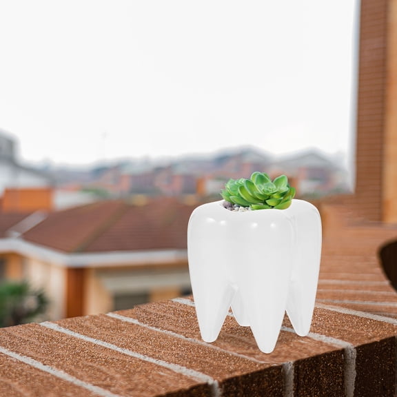 ROMANSENTIAL Succulent Pots Tooth Shape Home Ornaments White 1Set