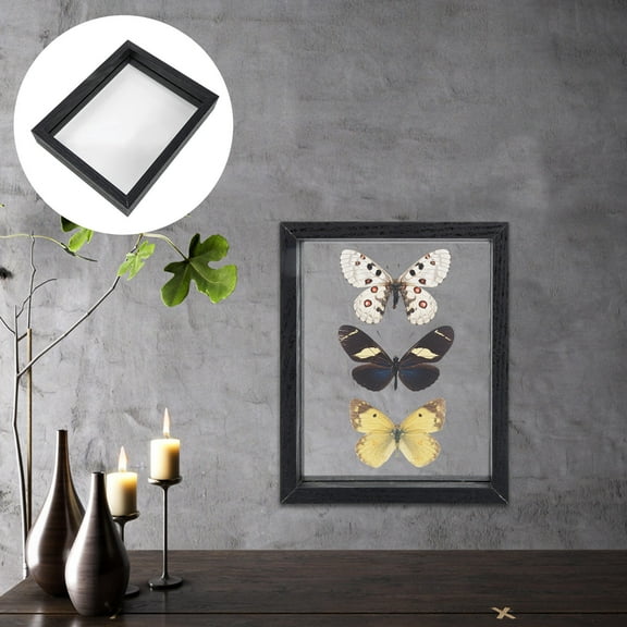 WHAMVOX DoubleSide Butterflies Case with Black Glass Frame for DIY Specimen Display and Living Room Decoration 7x9 inches