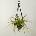 thumbnail image 1 of WHAMVOX Flower Stand Swinging Rack Plant Shelf Indoor Retro Decor Black, 1 of 8