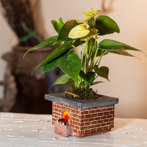 WHAMVOX  Garden Decor Succulent Ornamental Flower Pot Vintage Planter