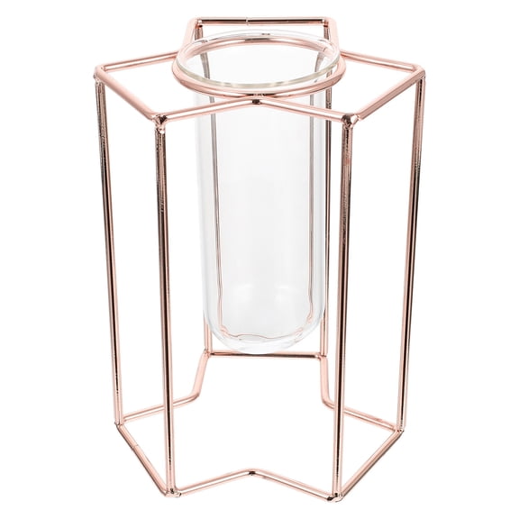 YSNOOWE Hydroponic Glass Tube Planter with Transparent Design and Stylish Rack for Indoor Plant Growth and Home Gardening