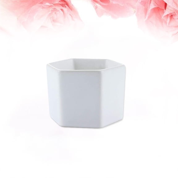 WHAMVOX  Hexagonal Flowerpot Drainage Holes Mini Succulent Plant
