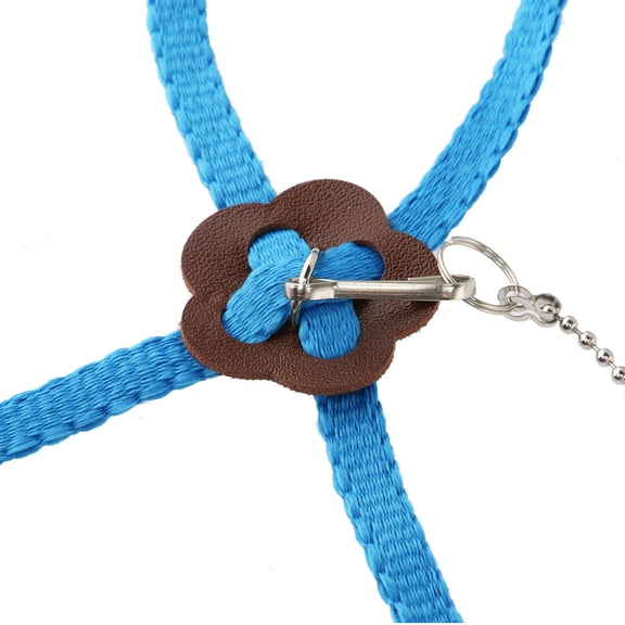 WHAMVOX Leash and for Bearded Dragon and Monitor Lizard Reptile Pet Safety and Control