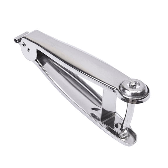 WHAMVOX Manual Jujube Corer Kitchen Gadget Made of Stainless Steel for House Use Silver Color