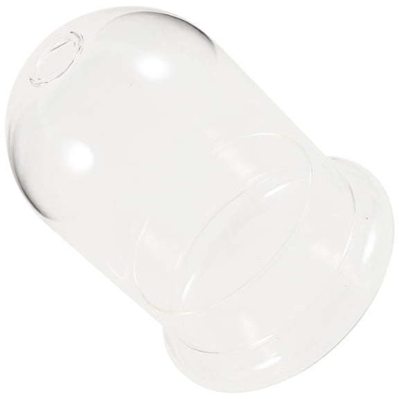WHAMVOX  Moss Plant Bottle Clear Display Cloche Fun for Flowers Faux
