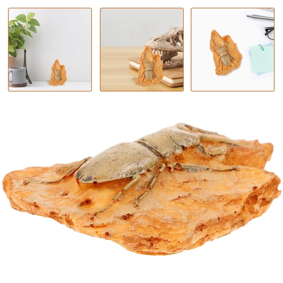 WHAMVOX Paleontological Insect Specimen for Science Teaching Orange Resin Decorative Ornament 3.5 inches
