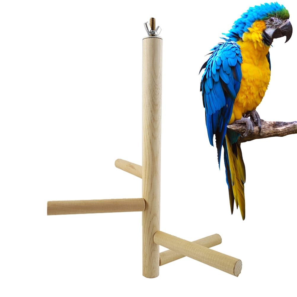 Photo inspiration: Parrot Swing Trapeze For Exercise Reference: Whamvox Parakeet Cage Small Bird Parrot Swing Durable Toys Exercise