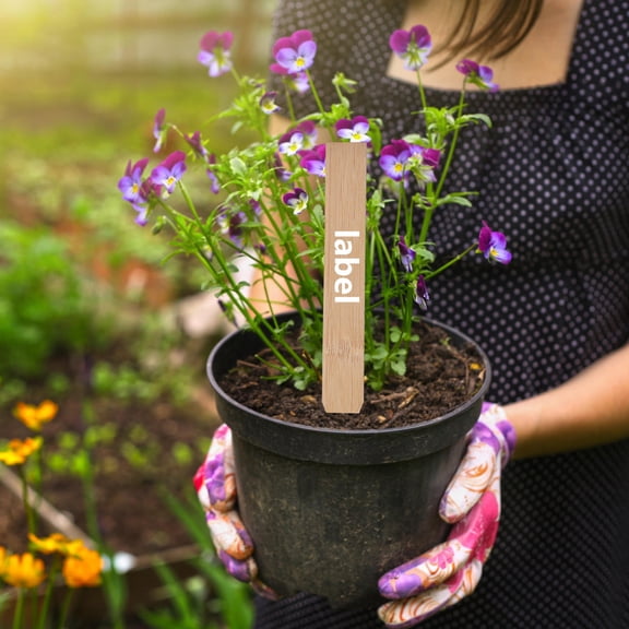 FESTFENDS Plant Markers Synthetic Material 50Pcs 15x2cm