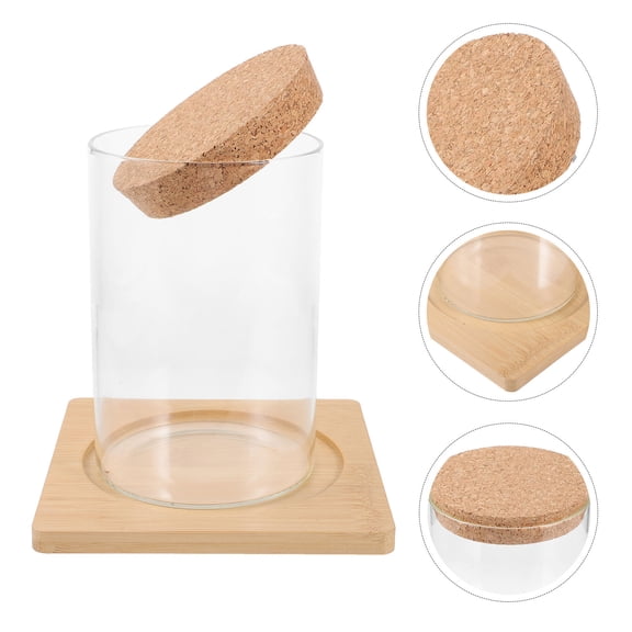 WHAMVOX Planter Moss Eco Bottle Succulent Terrarium Office