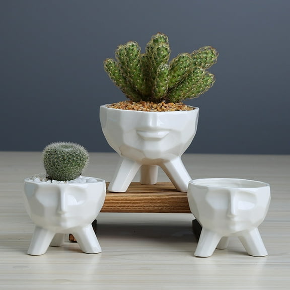 WHAMVOX Planters Face Succulent Flower Small Bonsai