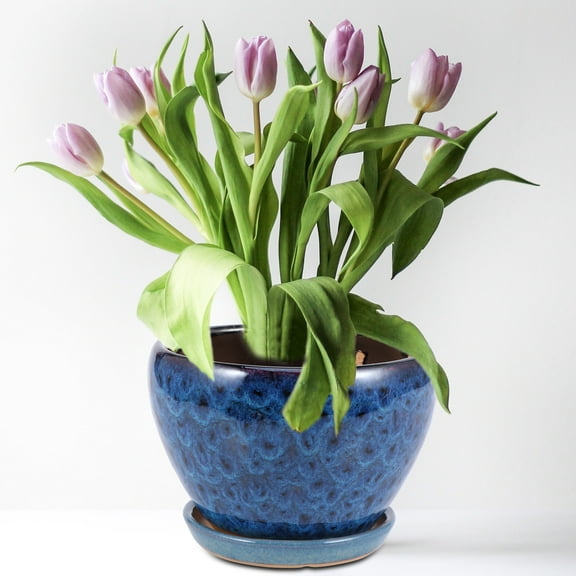 WHAMVOX Planters for Indoor Plants Decorative Flower Pots Succulent Blue