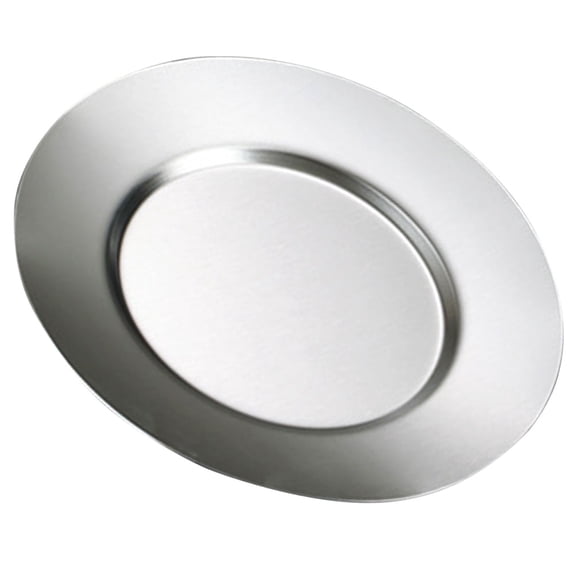 ROMANSENTIAL Metal Dinner Plate Stainless Steel Food Plate Silver 1Pcs for Barbecue