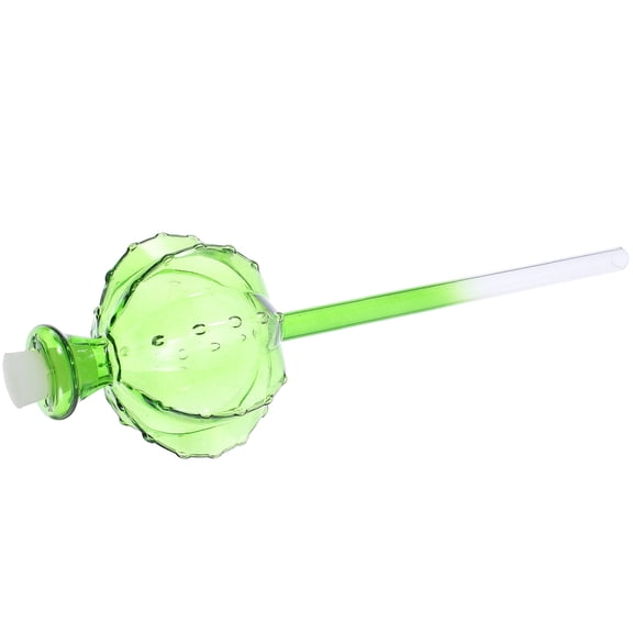 WHAMVOX Practical Bonsai Plant Watering Globe Clear Glass Watering Device Cute Cactus Shape Watering Bulb