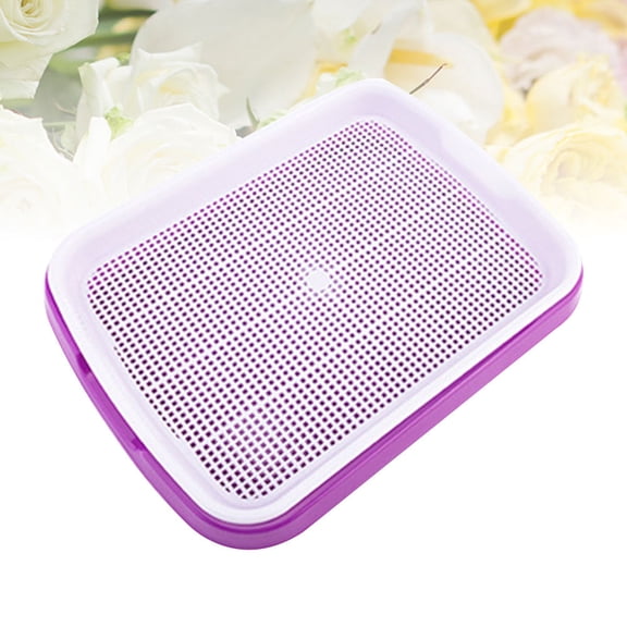 WHAMVOX Purple sprouter Tray for Planting Made of PP Material 35x26x5cm Promotes High Budding Rate and Ventilation