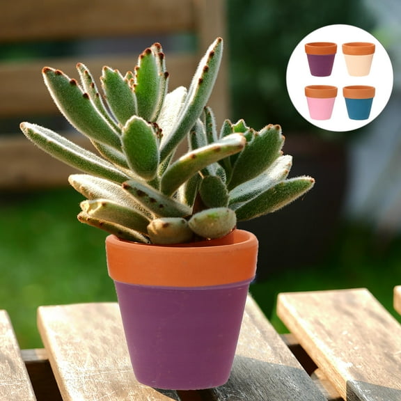 WHAMVOX  Red Pottery Succulent Flower Plant Maintenance Decorative Flowerpot