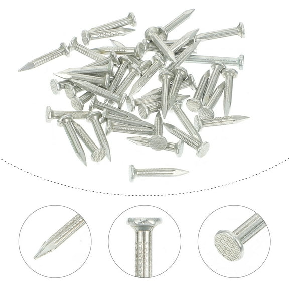 WHAMVOX Steel Nails for Fixing with Point Tip Design and Galvanized Surface 310pcs