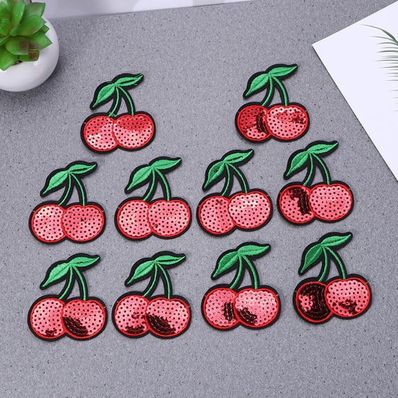 SKISUNO 10pcs Cute Strawberry Embroidered Iron on Patches Red for Clothes Repair Handbag Craft Enthusiasts