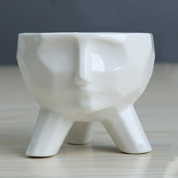 WHAMVOX Succulent Flower Face Planters Houseplant Indoor White