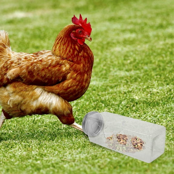 SEWCHICS Chick Feeder Multi Home Use 1Pack 6.9x2.2x2.2in