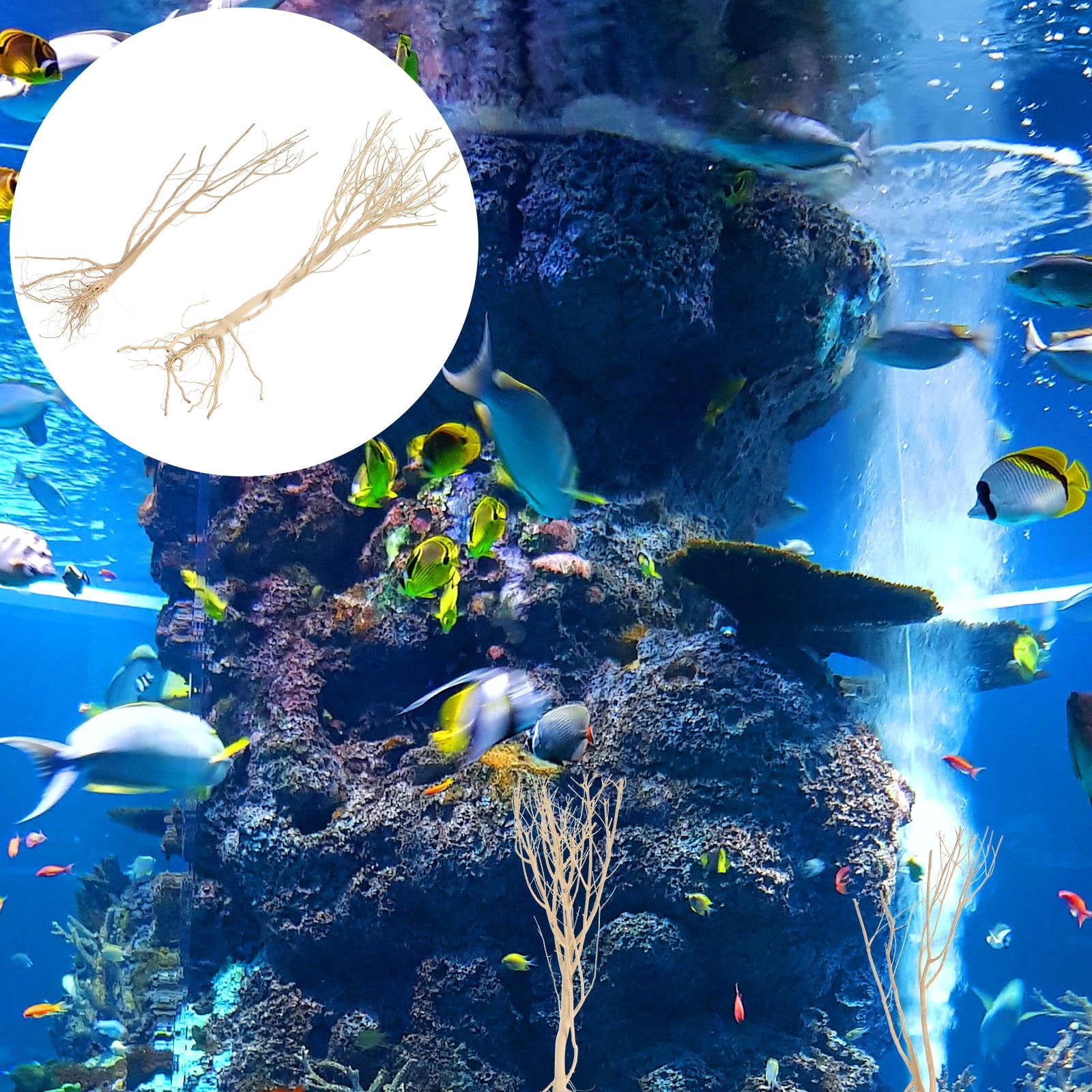 COMPUKAS Natural Wood Twig Aquarium Decoration Set, 14.96 x 7.09 x 7.09 inches, Perfect for Fish Landscaping