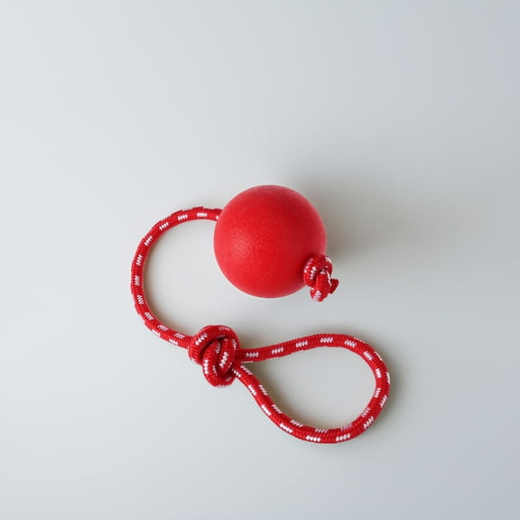 WHAMVOX UEETEK Pet Solid Rubber Ball with Rope Dog Ball Launcher Thrower for Pets Training Exercising - Size L