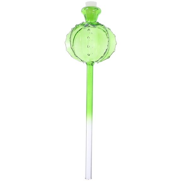 WHAMVOX Unique Cactus Watering Globe Convenient Automatic Watering Bulb Self Watering Bulb