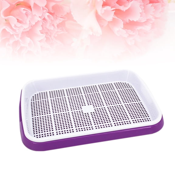 LITINKIMI Sprouter Tray Growing Set in Violet with Densely Small Holes for Easy Rooting and Seed Sprouting